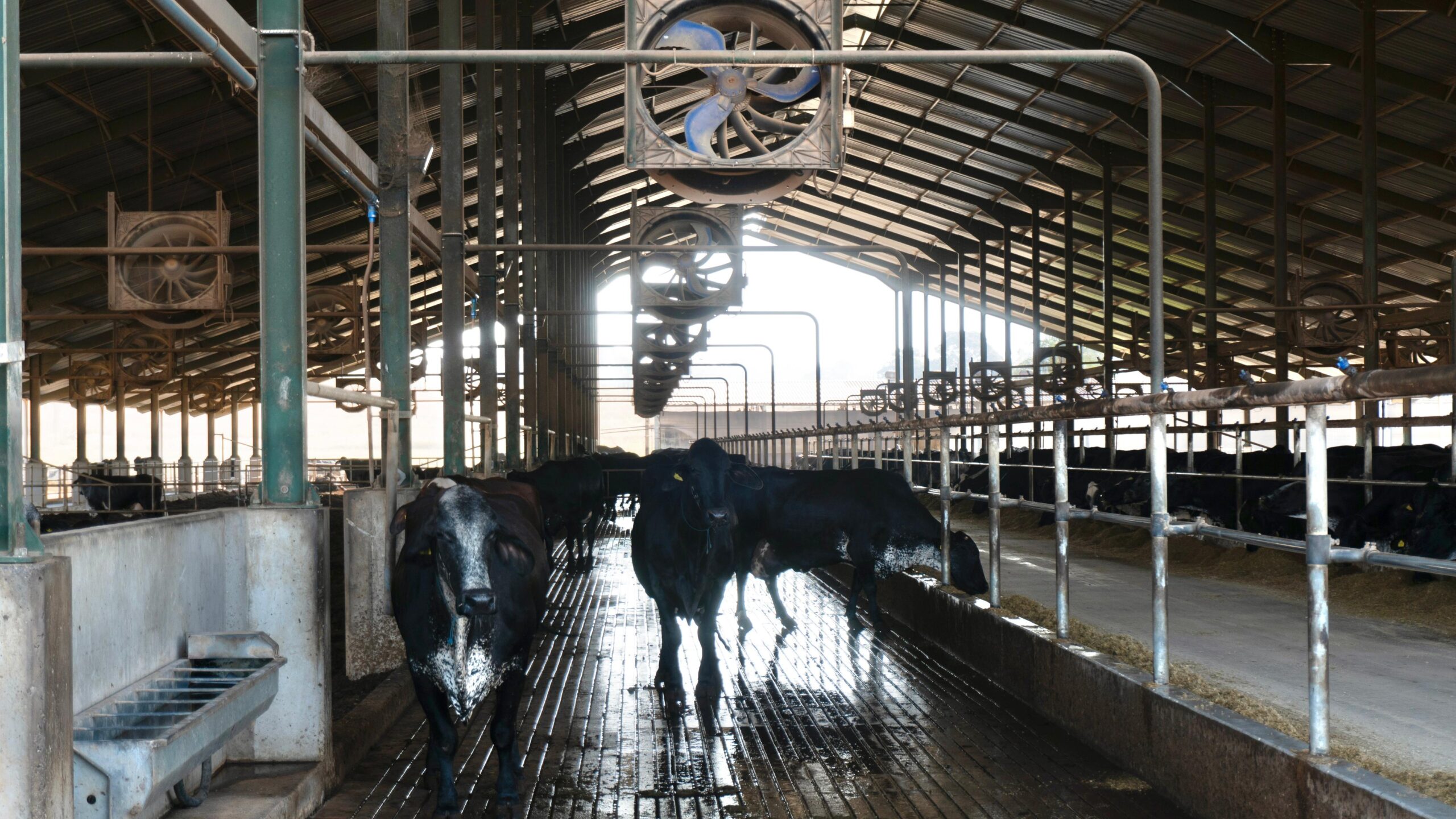 Fabricação e distribuição de máquinas e aparelhos de refrigeração e ventilação